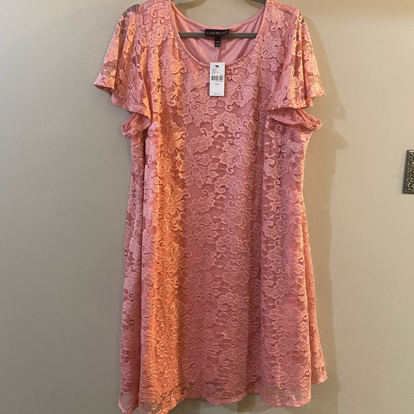 Flutter sleeve lace dress - Picture 7 of 12